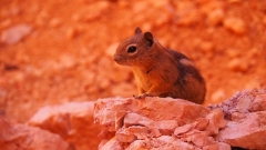Bryce Canyon National Park