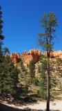 Bryce Canyon National Park