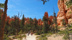 Bryce Canyon National Park