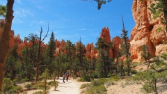 Bryce Canyon National Park