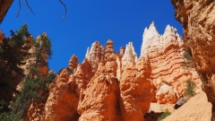 Bryce Canyon National Park