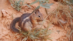 Bryce Canyon National Park