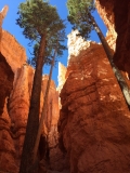 Bryce Canyon National Park