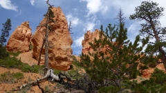 Bryce Canyon National Park