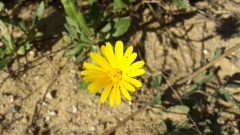 photoworld24-20131114_102457