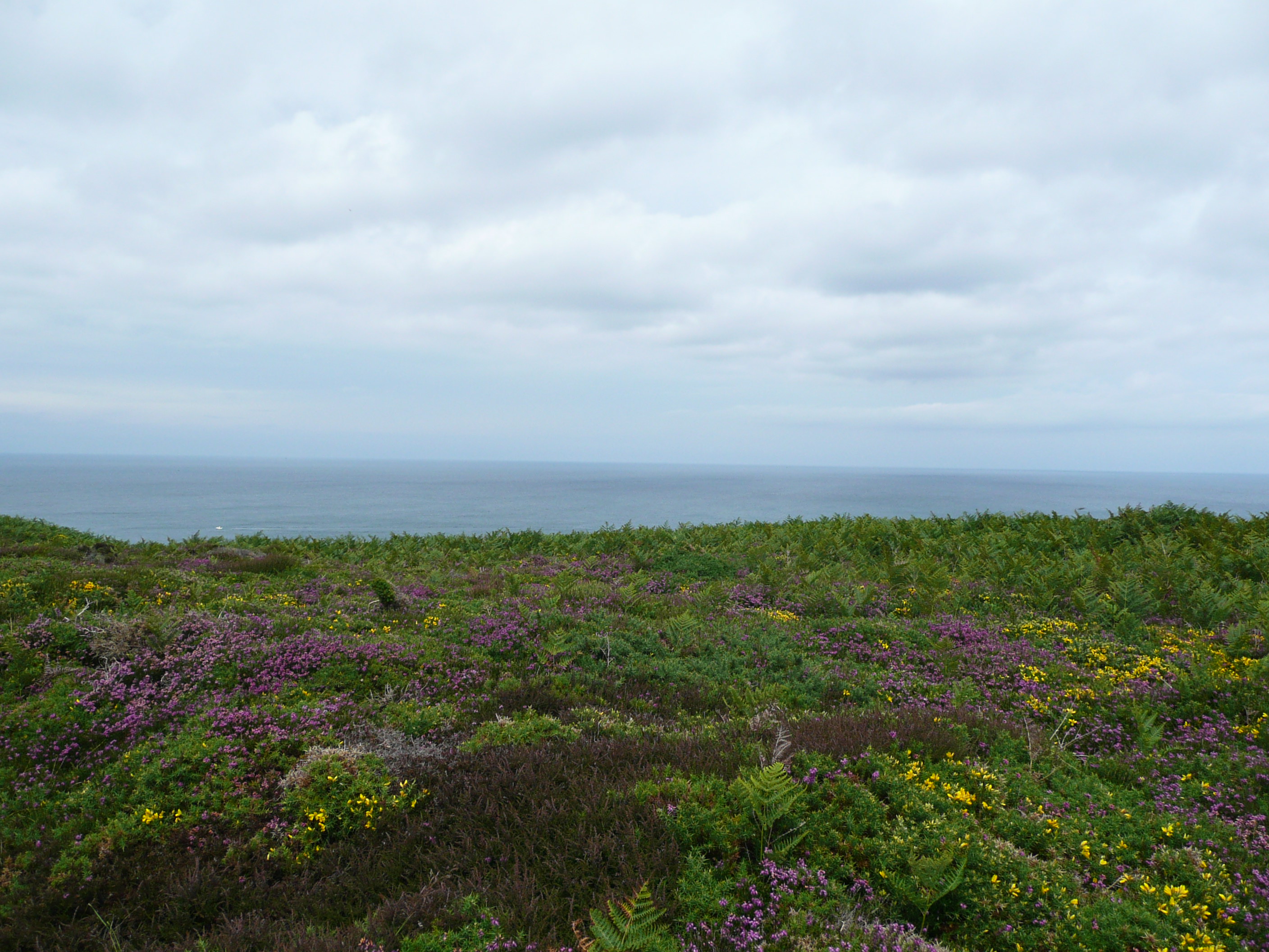 photoworld24-Frankreich-Nordküste