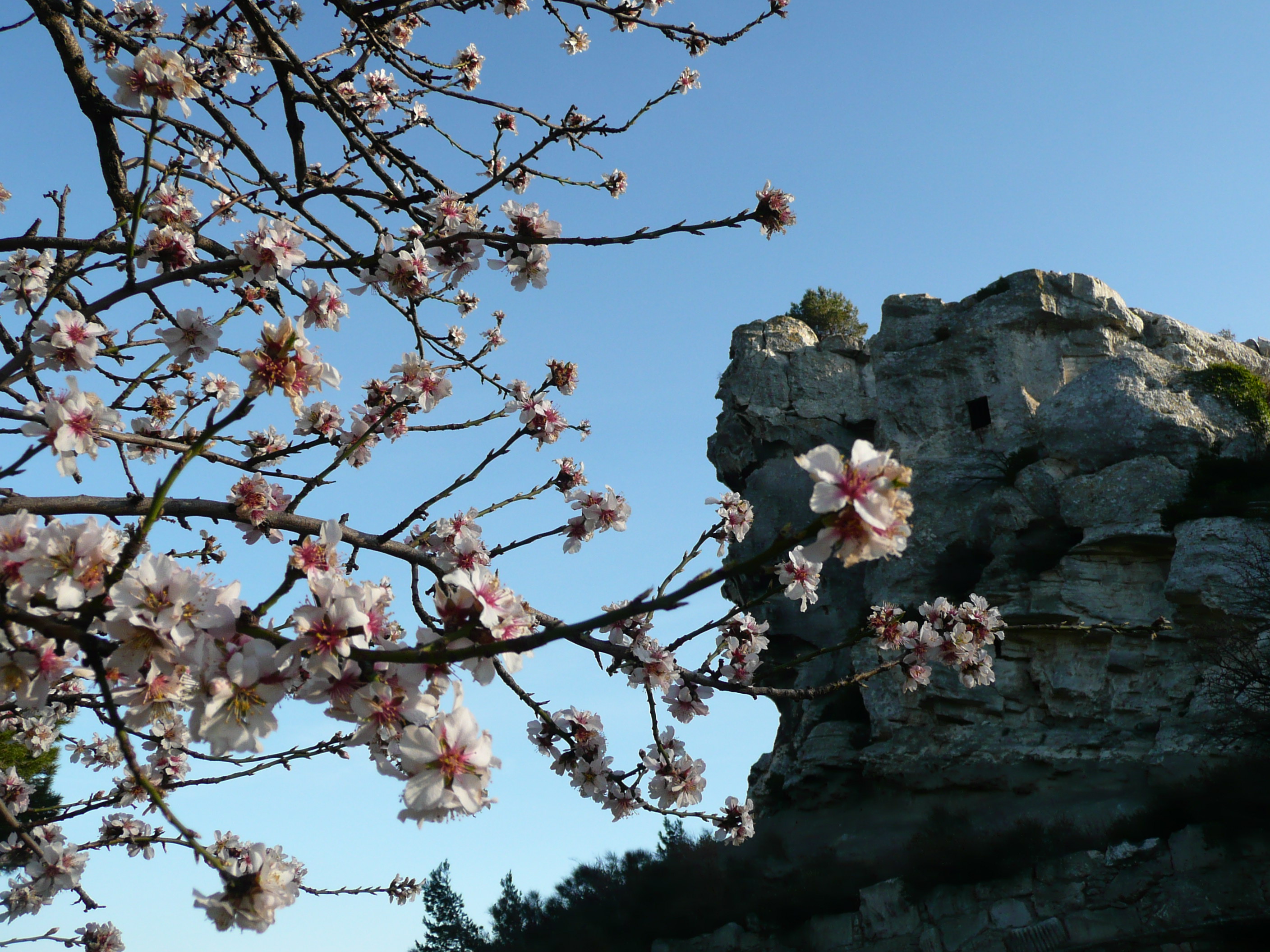 photoworld24-Frankreich-Provence-Les Baux