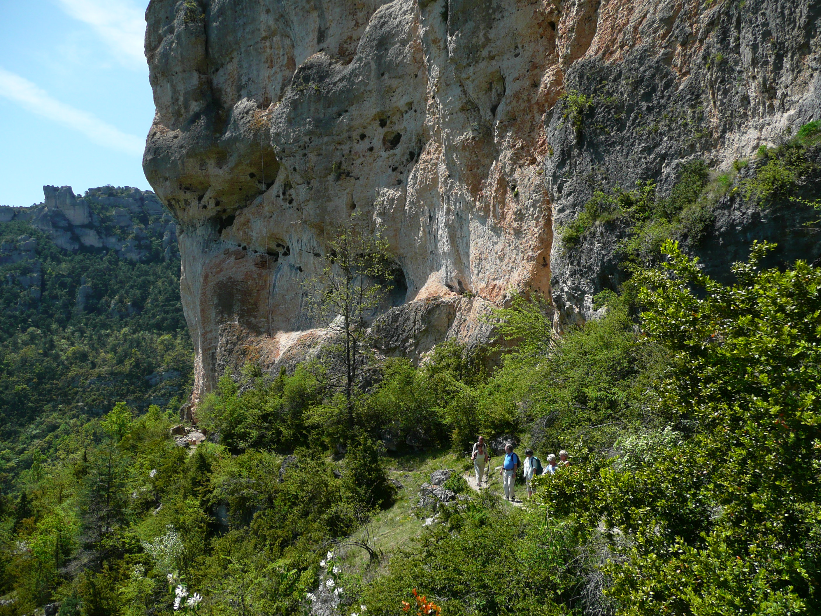 photoworld24-Frankreich-Tarn-1