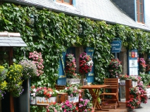 photoworld24-Frankreich-Bretagne-Blumen