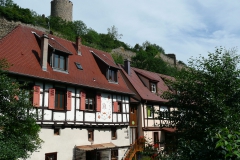 photoworld24-Frankreich-Elsass-Kaysersberg
