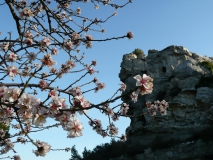 photoworld24-Frankreich-Provence-Les Baux