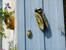 photoworld24-Frankreich-Provence-Zikaden