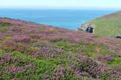 photoworld24-Grossbritannien-Cornwall Kueste-1