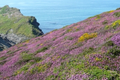 photoworld24-Grossbritannien-Cornwall-Kueste-2