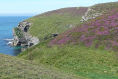 photoworld24-Grossbritannien-Cornwall-Kueste