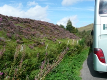 photoworld24-Schottland-Highland