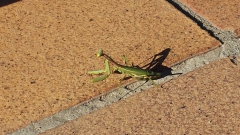 photoworld24-20131112_154210