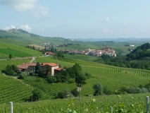 photoworld24-Italien-Piemont-Weinberge