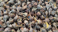 photoworld24-20131109_102838