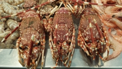 photoworld24-20131109_102932