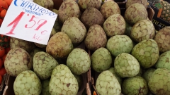 photoworld24-20131109_103108