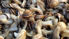 photoworld24-20131109_104703