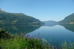 photoworld24-Norwegen-Fjorde-3