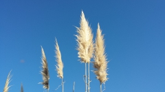 photoworld24-20131114_102258