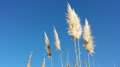 photoworld24-20131114_102318