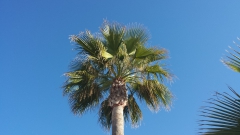 photoworld24-20131114_102822