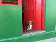 Cuba-Baracoa-photoworld24_7277