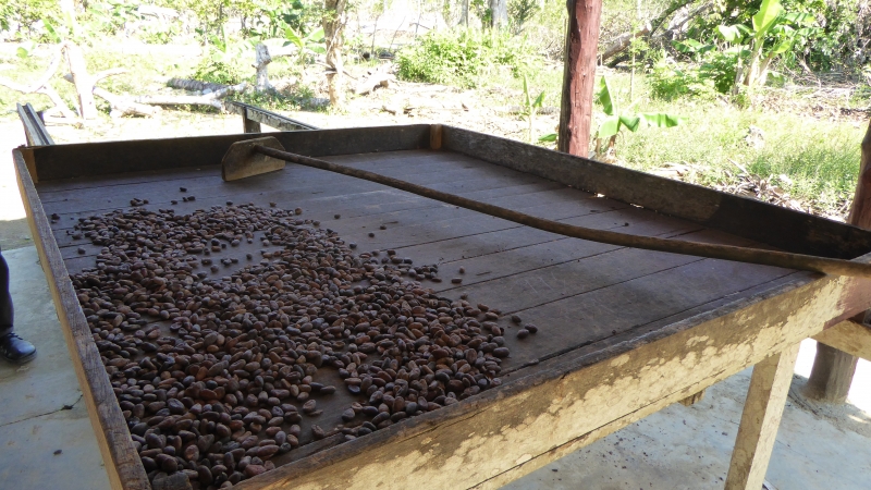 Cuba-Baracoa-Finca-Duaba