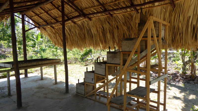 Cuba-Baracoa-Finca-Duaba