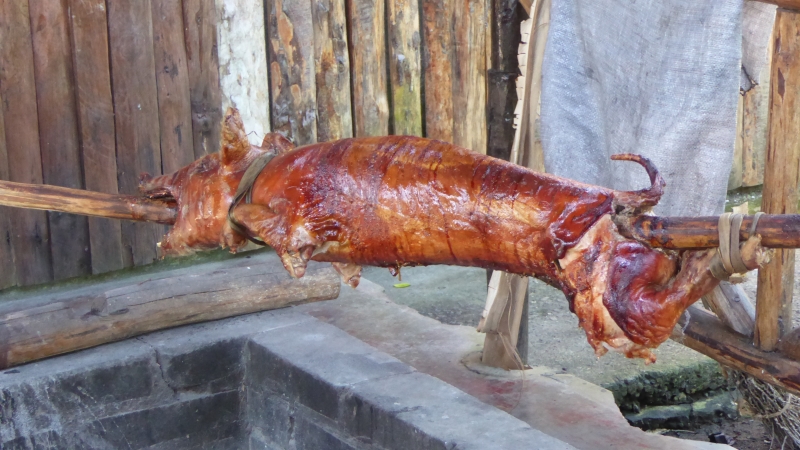 Cuba-Baracoa-Finca-Duaba