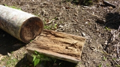 Cuba-Baracoa-Finca-Duaba