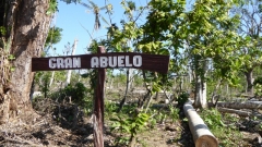 Cuba-Baracoa-Finca-Duaba