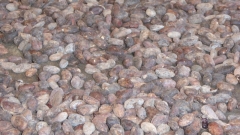 Cuba-Baracoa-Finca-Duaba