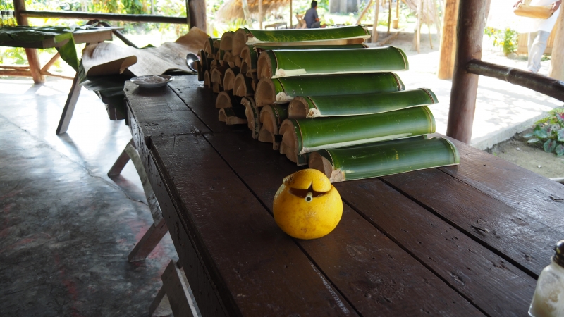 Cuba-Baracoa-Rancho-Toa