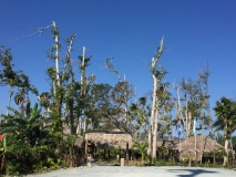 Cuba-Baracoa-Rancho-Toa