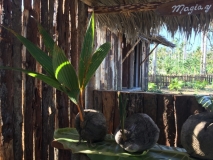 Cuba-Baracoa-Rancho-Toa