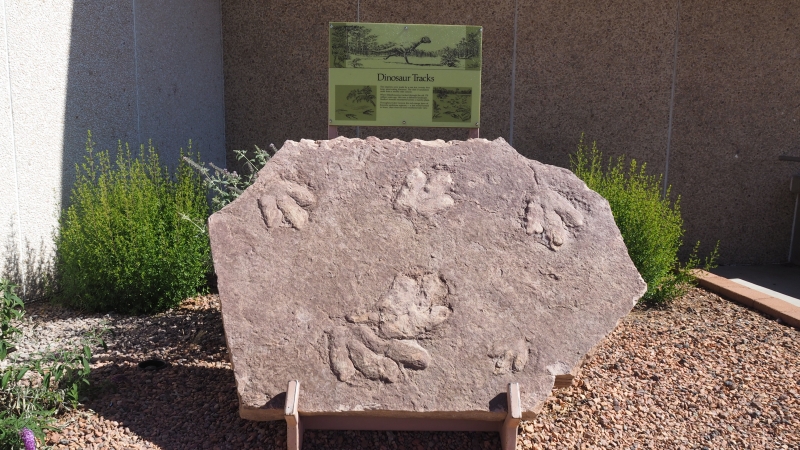 Glen-Canyon-Dam-Lake-Powell-Fossile