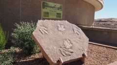 Glen-Canyon-Dam-Lake-Powell-Fossile