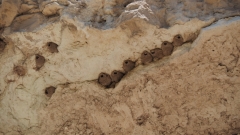 Montezuma Castle National Park
