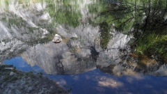 Yosemite National Park