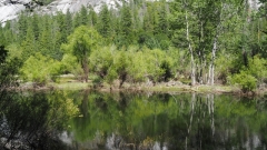 Yosemite National Park