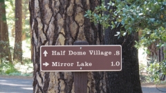 Yosemite National Park