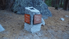 Yosemite National Park